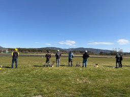 whatsapp image 2026-03-29 at 10.10.15 12